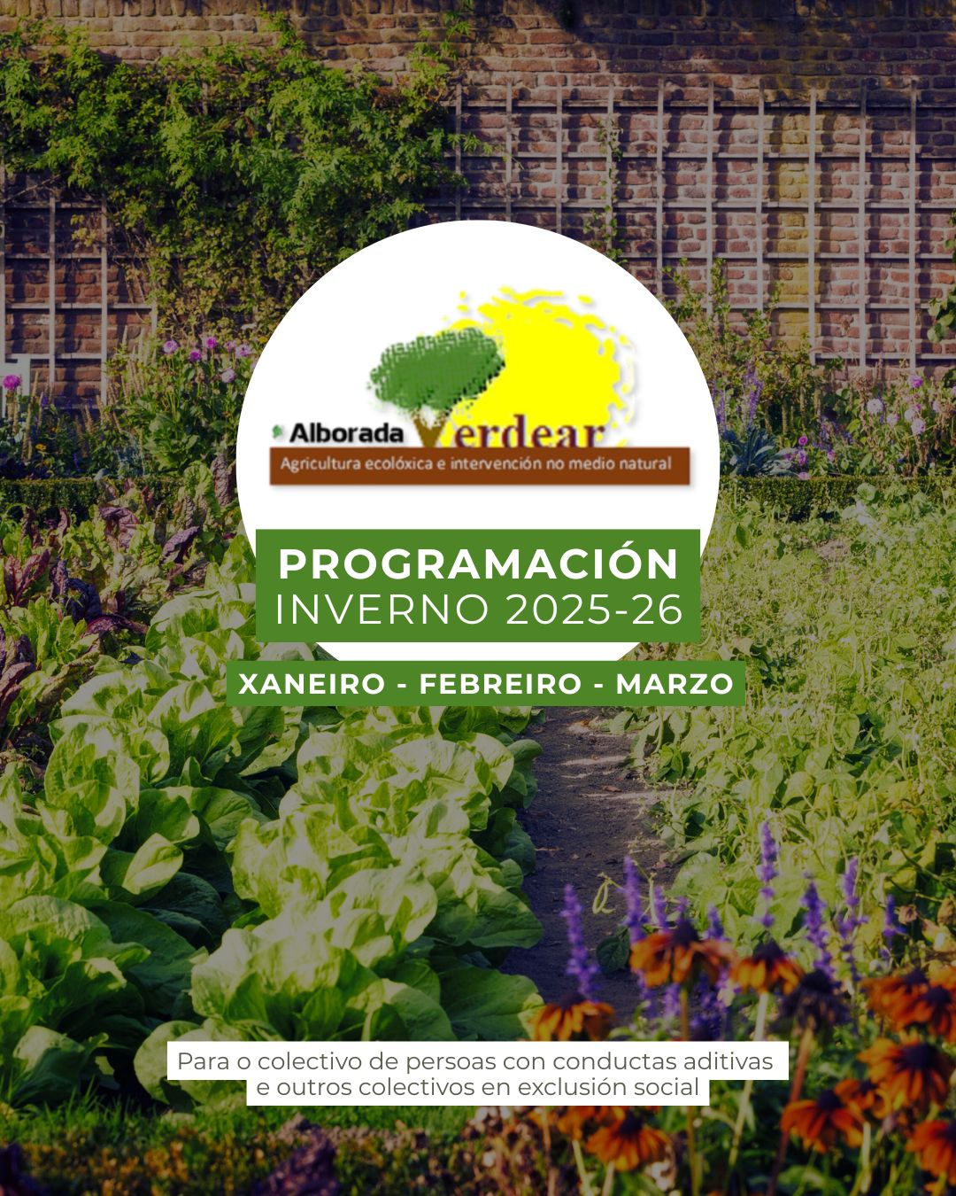 𝗩𝗘𝗥𝗗𝗘𝗔𝗥: Programa de Actividades de Invierno